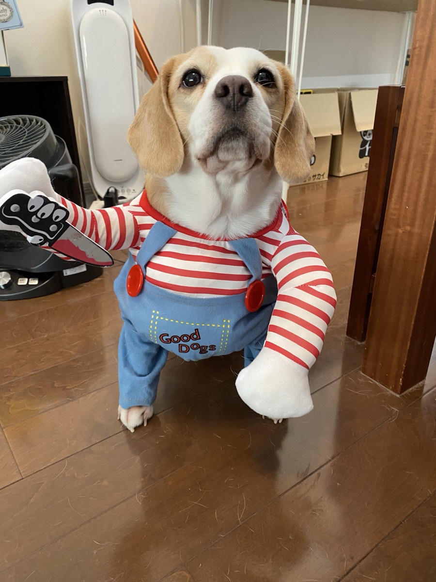 リモーネ コスプレ